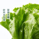 Zhonglingshan Romaine Lettuce 400g