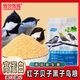 Red bird food, shellfish bird food, yellow-bellied tits, ideas and sunspot bird food, big tit food, high protein, insectivorous bird general purpose, shellfish, red seeds, black tits, high protein granules, buy 2 get 1 free, send 3 Jin Jin is equal to 0.5 kg