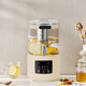 Health kettle, kettle, hot water kettle, constant temperature kettle, health kettle, teapot, teapot, all-in-one machine, fully automatic glass insulation, small household milky white 3L 304 stainless steel faucet, split flower teapot + filter