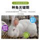 Sino-US Puke 4% rabbit premix rabbit premix baby rabbit meat rabbit fattening rabbit feed female rabbit premix veterinary 4% rabbit universal premix (4Jin Jin equals 0.5kg)