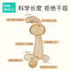 Beedoll ear rake rabbit teether baby molar stick baby chew gum oral period silicone toy anti-eating hand artifact nano silver free storage box + anti-drop chain