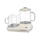 CHIGO Health Pot Double Oven Teapot Tea Maker Stew Pot All-in-One Gift Box Set Office Small Thermostat Coaster Health Cup for Girls High-Looking All-Glass Stew and Warm Three-in-One 0.6L Glass Kettle + 0.2L Cup*2