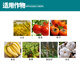 Huayi Shanghai Feiling 40% Ethephon Tomato Cotton Persimmon Banana Ripening Agent Tobacco Growth Regulator Genuine 350g
