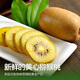 Jia Lumi Yellow Heart Kiwi Fruit Henan Xixia Kiwi Fruit Fresh Seasonal Fruit Fresh Fruit Gift Box 12 Pieces (Single Fruit 50-70g)