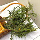 Tibetan Hair Straightening Authentic Plateau Tibetan Cedar Branches and Leaves as Crystal House Purifiers to Remove Pollution and Purify the Air Wild Tibetan Cedar Half Jin Jin is equal to 0.5 kg