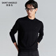 Angel Bird Half Turtle Collar Wool Sweater Men's Simple Versatile Pure Wool Sweater EBY253T14U Black L-48