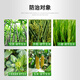 Yunda 120 Yunda 120 28 table high brassinolide leafy vegetables wheat corn plant growth regulator agricultural 100ml
