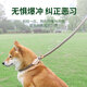 Gasco pet P chain size M dog leash dog leash collar small and medium-sized dogs dog out walking training dog belt