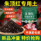 Amaryllis special soil bulb seed ball nutrient soil special fertilizer flower cultivation soil household organic soil Amaryllis special soil 10 liters