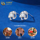 China Gold (CHINA GOLD) PT950 platinum shiny four-leaf clover earrings for women, high-end earrings, Valentine's Day birthday gift for girlfriend and wife, platinum shiny four-leaf clover earrings, about 1.5g