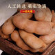 Yunnan specialty acid horn fresh wild sweet horn pregnant women snacks fruit beans south sour jujube tamarind sweet sour horn [Yunnan specialty without pesticides] Yunnan sweet horn 200g*2 pack