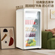 SAST ice bar refrigerator European style constant temperature wine cabinet office hotel home refrigerator mini small single door gaming tea preservation cabinet display sample beverage medicine cabinet 150 liters first-class energy efficiency + refrigeration + micro-freezing + light retro white