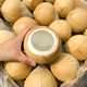 Jingdong Thai Coconut King fresh milky coconut seasonal whole box milk Coconut King imported tropical large fruit Milky Coconut King super value 9 pieces come with soft knife Selected large fruit single fruit 500-600g