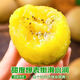 Jia Lumi Yellow Heart Kiwi Fruit Henan Xixia Kiwi Fruit Fresh Seasonal Fruit Fresh Fruit Gift Box 12 Pieces (Single Fruit 50-70g)