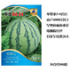 Wei Meng Meidu Red Crisp Hand Nanzaojia 8424 Watermelon Seeds Seedless Extra Large Watermelon Seeds Black Skin Yellow Soil Seedless 100 Tablets