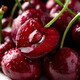 Bachiguo imported cherries from Chile air-shipped large cherries in stock direct delivery gift box seasonal fruits for pregnant women 450g (net weight) large fruit J grade single fruit 6-8g