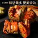 Live Crab Fisherman Master Hairy Crab Whole Female 2-2.3 Liang 6 pieces without rope full weight fresh crabs fresh spot seafood New Year gift box sent directly from the source