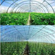 Greenhouse plastic film non-drip film agricultural greenhouse film PO film vegetable planting anti-fog high light transmittance anti-aging longevity film national standard thickness non-drip film 12 silk (0.12 mm) official authentic 7 meters wide customization how many meters are needed to take how many pieces