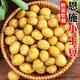 New arrivals of the season: Enshi yellow heart small potatoes, straight-haired small potatoes from high mountain origin, fresh mini potato potatoes, Enshi small potatoes 1Jin Jin is equal to 0.5kg, with box starting from 60g