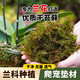 Dry moss, natural high-quality moss, special for Phalaenopsis orchids, sphagnum dendrobium planting nutritious soil, crawling pet turtle mat, preferred bulk moss 250g
