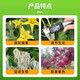 98% Aminobutanol Original Powder Plant Growth Regulator DA-6 Preserves Flowers, Preserves Fruits, Expands Fruits and Increases Production of Aminosides 1000g*1 Bag