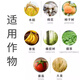 40% ethephon ripening agent fruit banana mango tomato persimmon growth regulator walnut peeling ripening agent 500g