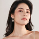 Yalundi's unique silver earrings, earrings, earrings, ear clips, women's niche design earrings 2025 new hot style, high-end