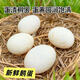 Authentic local goose eggs, fresh farm-raised free-range goose eggs, large goose eggs, nourishing breakfast for pregnant women and babies, fresh JD.com 12 pieces, 120-140g, large ones, hot-selling Authentic local goose eggs, fresh farm-raised free-range goose eggs, large goose eggs, nourishing breakfast for pregnant women and babies, fresh JD.com 12 pieces, 120-140g, large ones, hot-selling