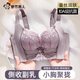 Urban Beauty Mulberry Silk Skin Nourishing Bra Women's Underwear Push Up Small Breasts Show Big Up Support Anti Sagging No Wires 10A Antibacterial Bra
