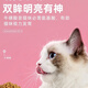 OIMG preferred cat food full price cat food 3 Jin Jin is equal to 0.5 kg, packed with venison, squab, blue cat, kitten, adult cat, hair beauty and prevention, general purpose Langshi preferred cat food (3 Jin Jin is equal to 0.5 kg//1 pack) general purpose