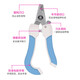 Pet Nail Clipper Set File Stainless Steel Cat and Dog Nail Clipper Cleaning and Beauty Supplies Pink Set-Large Factory Direct Sales