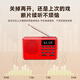 Newman (Newsmy) L1 radio for the elderly rechargeable plug-in card mini portable small opera player multi-functional small speaker 2025 new model