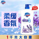 Safeguard Healthy Purifying Shower Gel Lavender Scent 1kg Shower Lotion for Men and Women New and Old Packaging Random