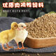 Little duck feed for ducks, special pet birds, small yellow ducks, goslings, chicks, food feed for ducklings 20 Jin Jin is equal to 0.5 kilograms, fine particles 2 Jin Jin is equal to 0.5 kilograms