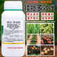 30% dwarf paclobutrazole dwarf plant fruit tree growth control agent wheat and rice growth control agent 500g * 3 bottles