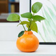 Love has been filled with sugar, simulated orange art vase, simple ceramic vase, birthday gift, living room table decoration, vase height 10cm