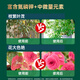 Dewoduo plant nutrient solution universal flower fertilizer green radish fortune tree rich bamboo succulent rose hydroponic green plant flower fertilizer nutrient solution 2.5L bottle