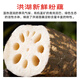 Jingxiansheng Hubei Honghu Fresh Lotus Root Flour Net Weight 4Jin Jin is equal to 0.5kg (packed in 4-6 sections) with mud to lock in freshness. Vegetables are sent directly from the source.