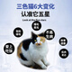Its Secret Natural Grain-Free Cat Food for Calico Cats in Multiple Colors Its Secret Young Adult Main Food Dry Food Beautiful Hair and Fattening Nutrition 5Jin Jin is equal to 0.5kg