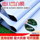 Thickened imported black and white film breeding greenhouse film reflective heat insulation sun protection anti-aging edible fungus plastic film imported new material black and white film 30 silk custom size consultation customer service