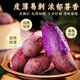 Authentic sandy land premium purple sweet potato, freshly dug, soft, glutinous, sweet, purple sweet potato, selected sweet potato, shipped directly from the origin, containing box 1Jin Jin is equal to 0.5kg, medium fruit, single fruit (3 taels - 6 taels)