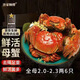 Live Crab Fisherman Master Hairy Crab Whole Female 2-2.3 Liang 6 pieces without rope full weight fresh crabs fresh spot seafood New Year gift box sent directly from the source