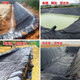 Fish pond anti-seepage membrane geomembrane black plastic leak-proof fish pond special membrane lotus root membrane thickened pool membrane waterproof cloth 0.5mm thick new material 2 meters wide 2 meters long