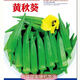 Okra seeds, fruit, red okra seeds, okra seedlings, sowing vegetables in spring and summer seasons, balcony courtyard, original pack of 50 okra seeds