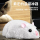 Songxing Mouse Toy Remote Control Electric Simulation Animal Boy Girl Fake Cockroach Scary Internet Celebrity Prank's Toy's Toy Model Yellow and Black Model Remote Control Centipède 9901+ Tournevis de luxe Version avec 36 électroniques 36 autres