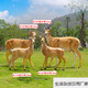 Bizhuo outdoor fiberglass simulation animal Tibetan antelope ornaments garden landscape sculpture park community lawn pasture decoration combination 1