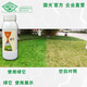 Guoguang Green Turf Lawn Dye Phthalocyanine Green Color Really Adhesive and Long-lasting It Turns Green in One Spray Official Authentic 500ml*1 Bottle
