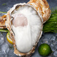 Fresh Jingcai Fresh Oysters 6XL Net weight 5Jin Jin is equal to 0.5kg 6-8 oysters Fresh to your home Fresh seafood Straight from the source