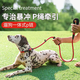 Dog leash, dog explosion-proof dog leash, dog leash, anti-breakaway P chain, large, medium and small dog leash, P rope supplies, anti-stranglehold, black 2.0 meters long, large size 1.2cm, recommended 35-70 Jin Jin equals 0.5 kg