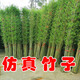 Linpan simulated bamboo outdoor decoration fake bamboo simulated plant landscaping bionic bamboo outdoor green plants 1.6 meters high 50 roots